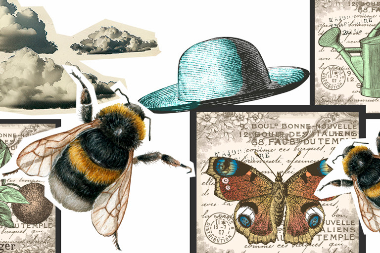 collage of gardening and nature imagery, including a sun hat, clouds, plants, watering cans bees, and a butterfly